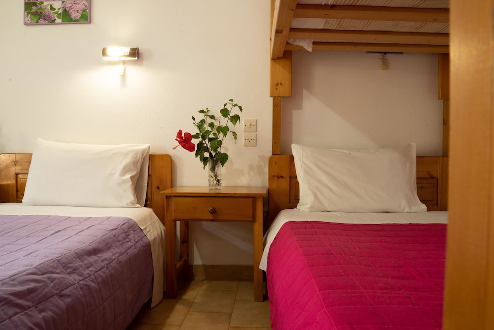 Dimitris Villa Hotel 28/67
