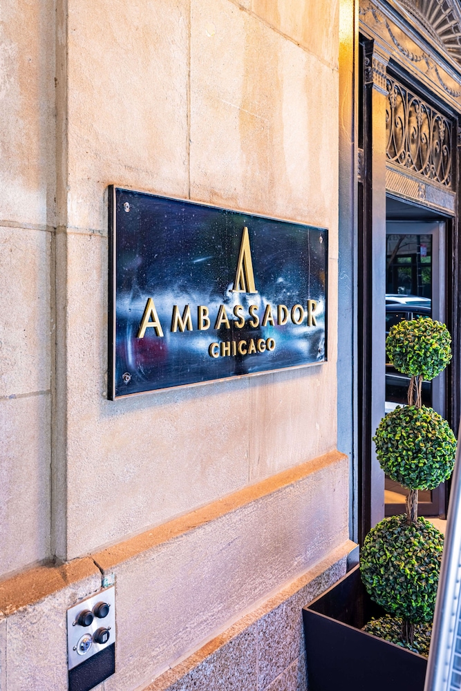 The Chicago Hotel Collection Ambassador Gold Coast 10/57