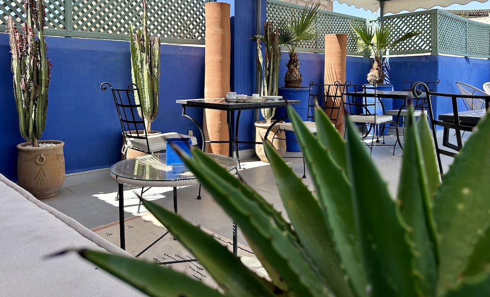 Riad Jardin Des Rêves 43/50
