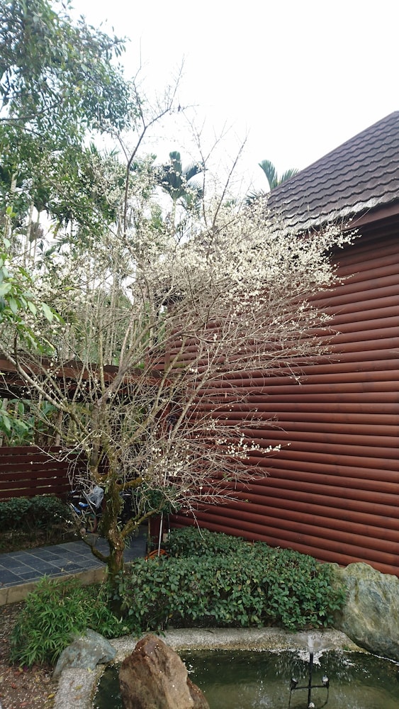 Sakura Villa 26/38