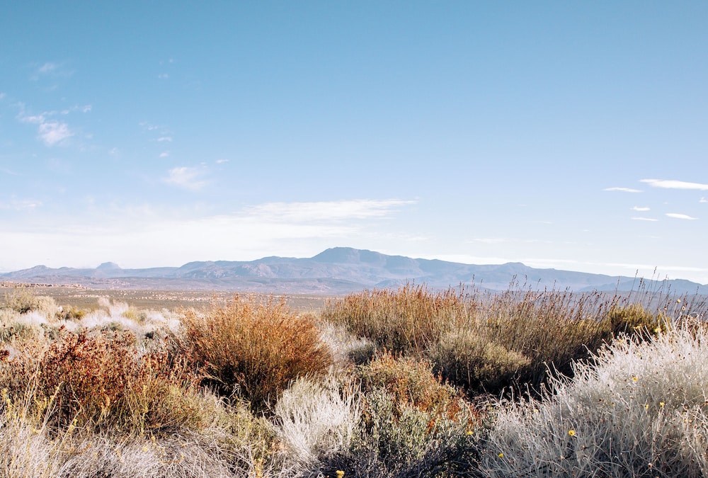 Kagga Kamma Nature Reserve 73/75