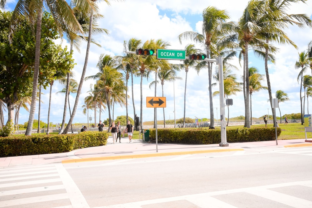 Ithaca of South Beach Hotel 36/51