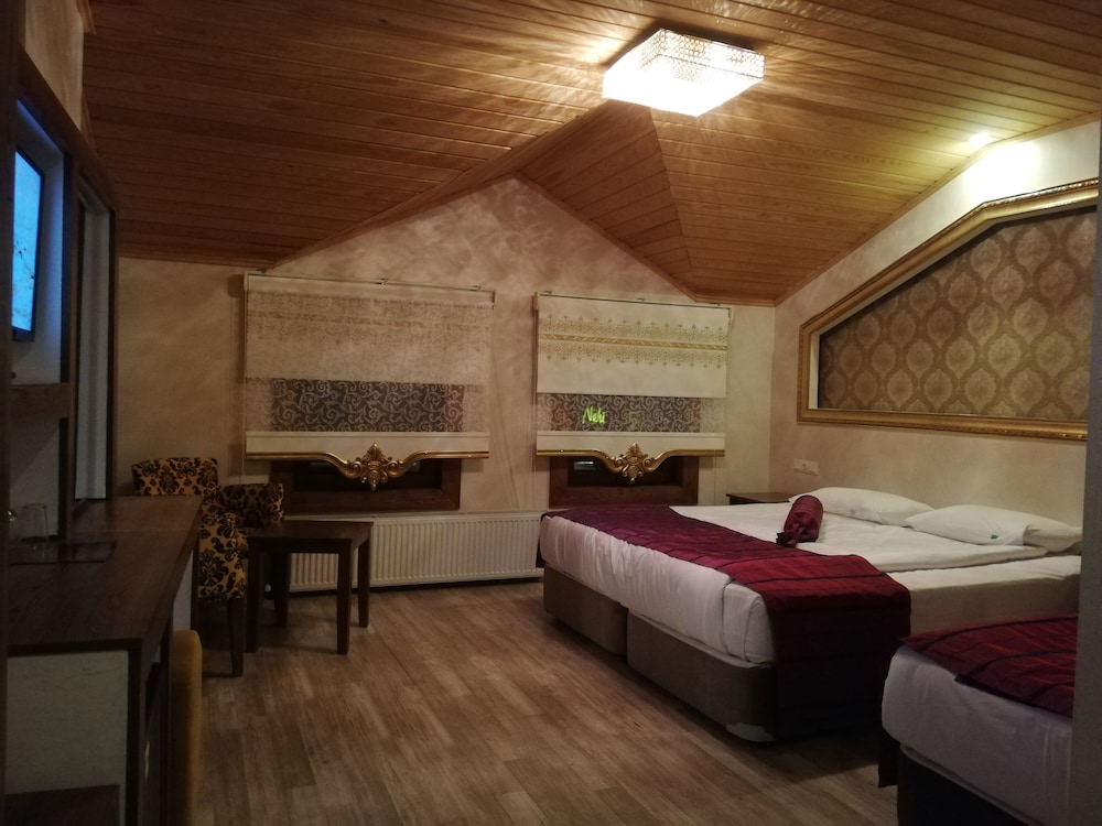 Ayder Resort Hotel 27/83