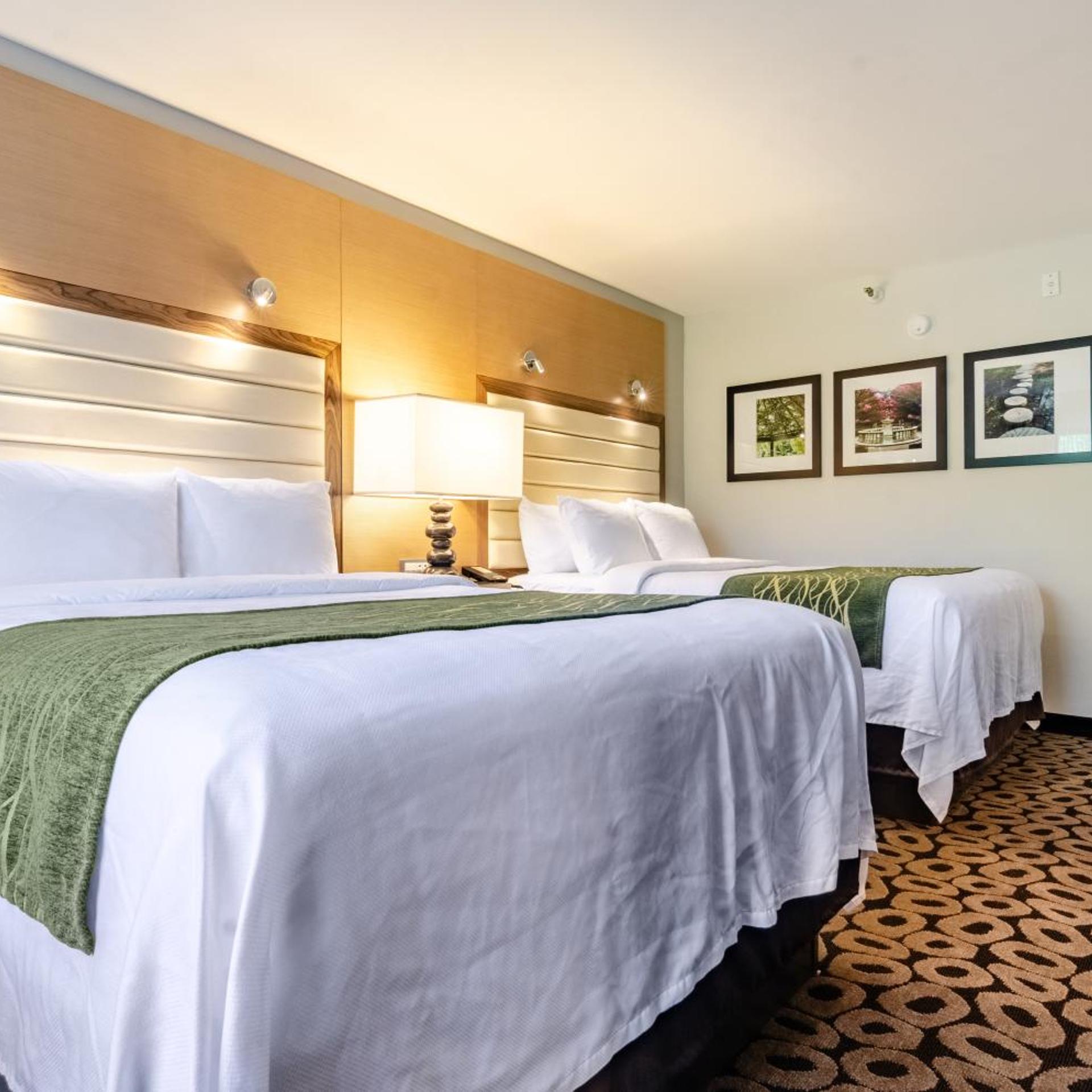 Superior, Suite, Queen Bed, Bathtub, Accessible