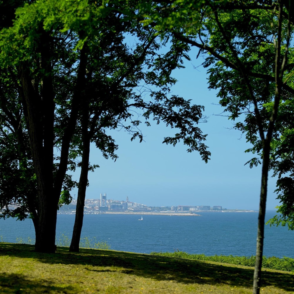 surroundings