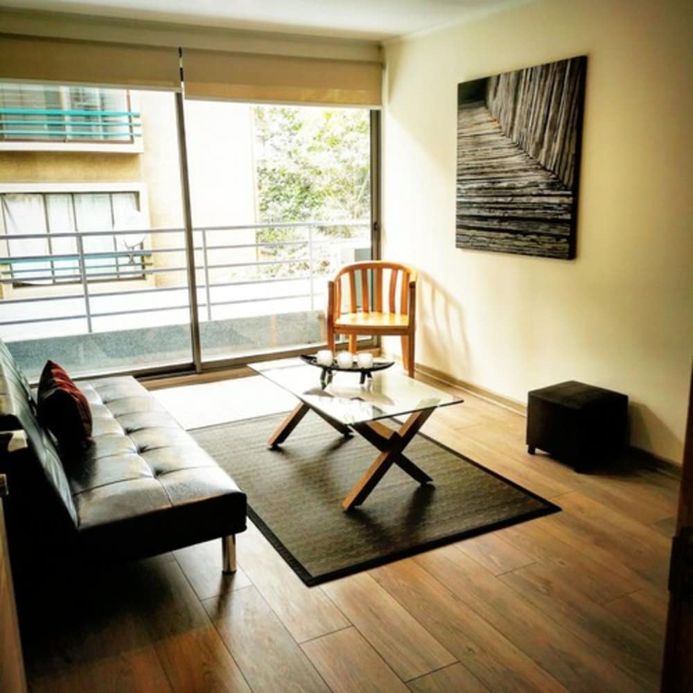 APART HOTEL VIVA PROVIDENCIA 19/30