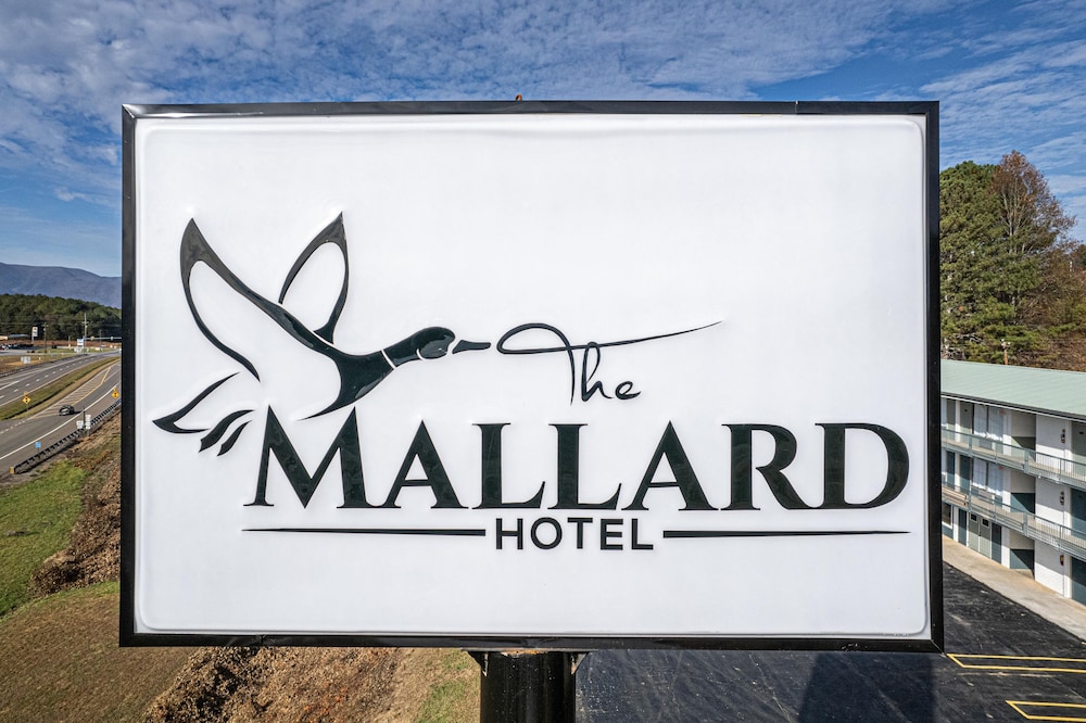 The Mallard Hotel 24/42
