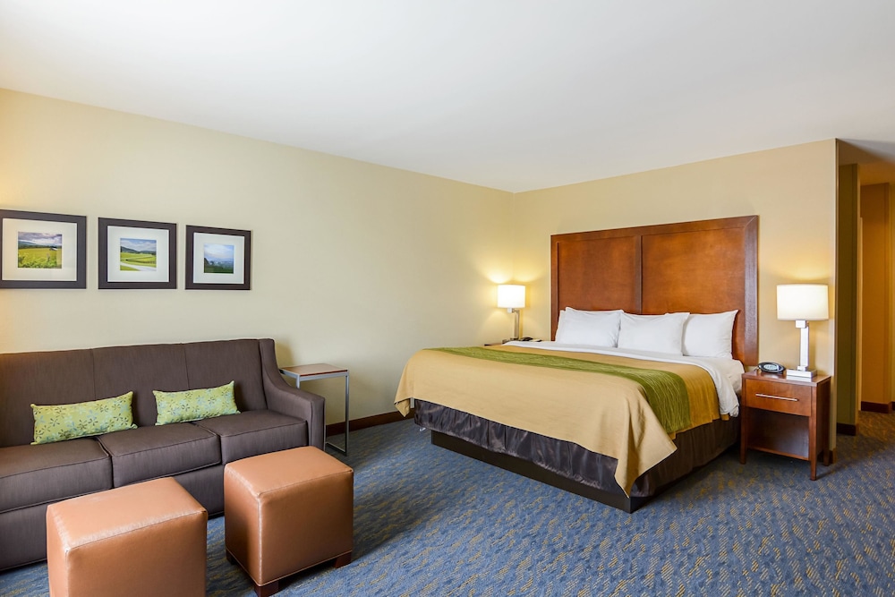 Comfort Inn Woodstock Shenandoah 17/39