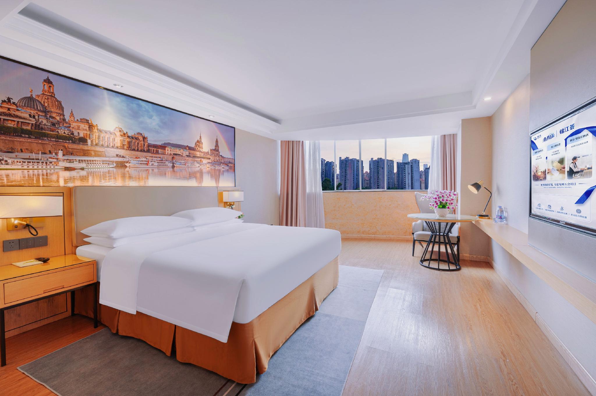 Vienna International Hotel (Nanning East Railway Station) 19/50