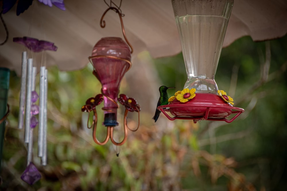 Chunuu Hostal y Glamping Minca 写真2