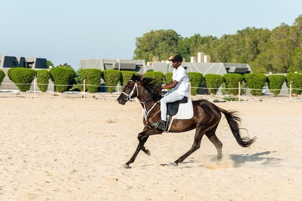 منتجع وسبا هدب الخبر(HDB Al Khobar Resort and Spa) 28/55