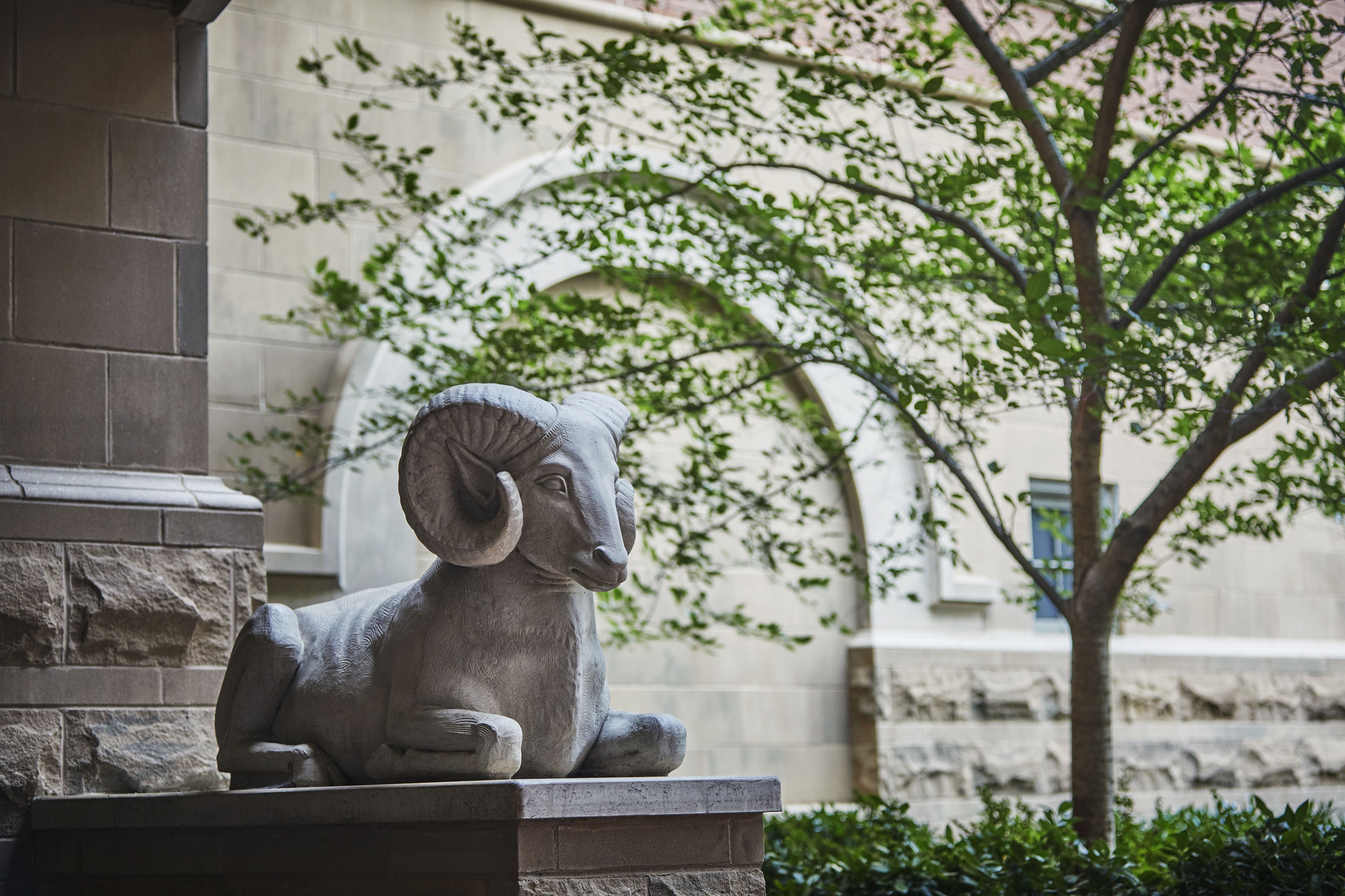 Graduate by Hilton Richmond 40/61