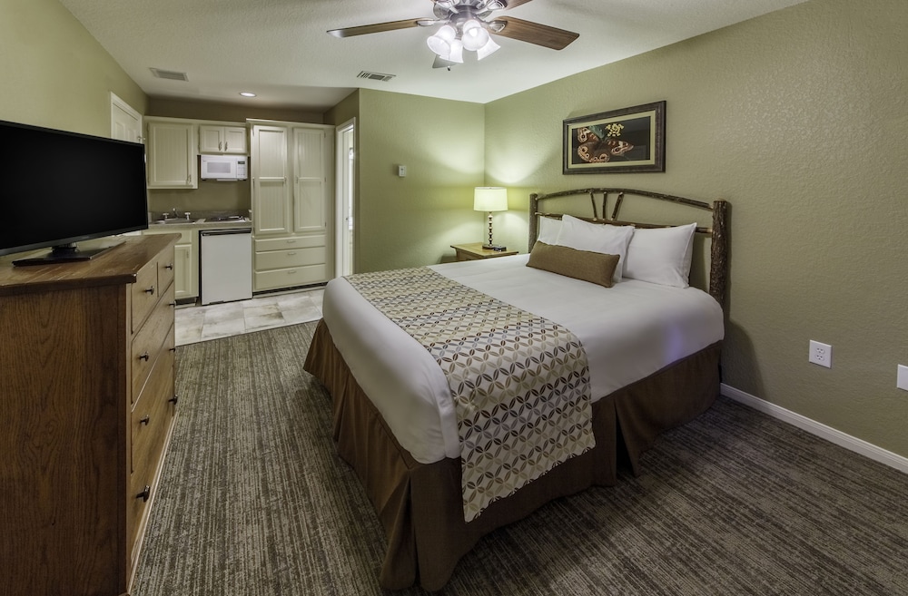 Holiday Inn Club Vacations Apple Mountain Resort 20/69