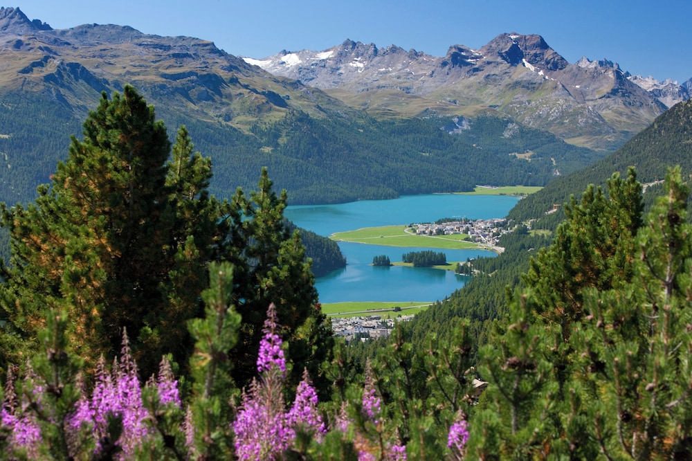 Hotel Schweizerhof, Sils Maria, a Faern Collection Hotel 69/74
