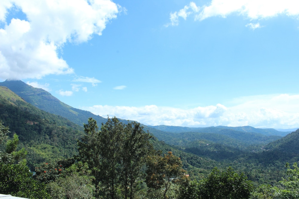 Green Trees Munnar 31/35