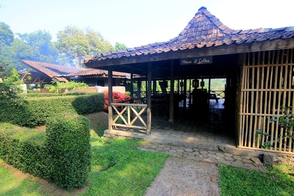 Mesastila 42/49