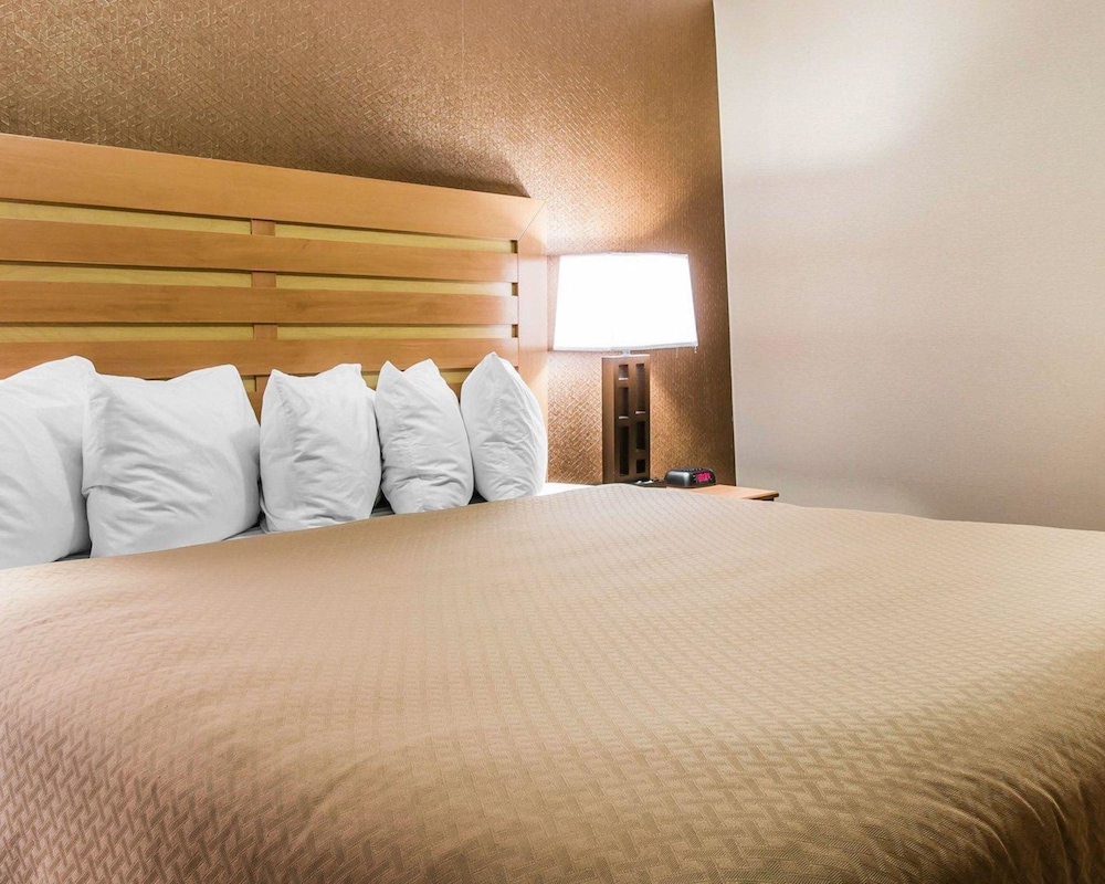 Quality Inn & Suites Warren - Detroit 18/43