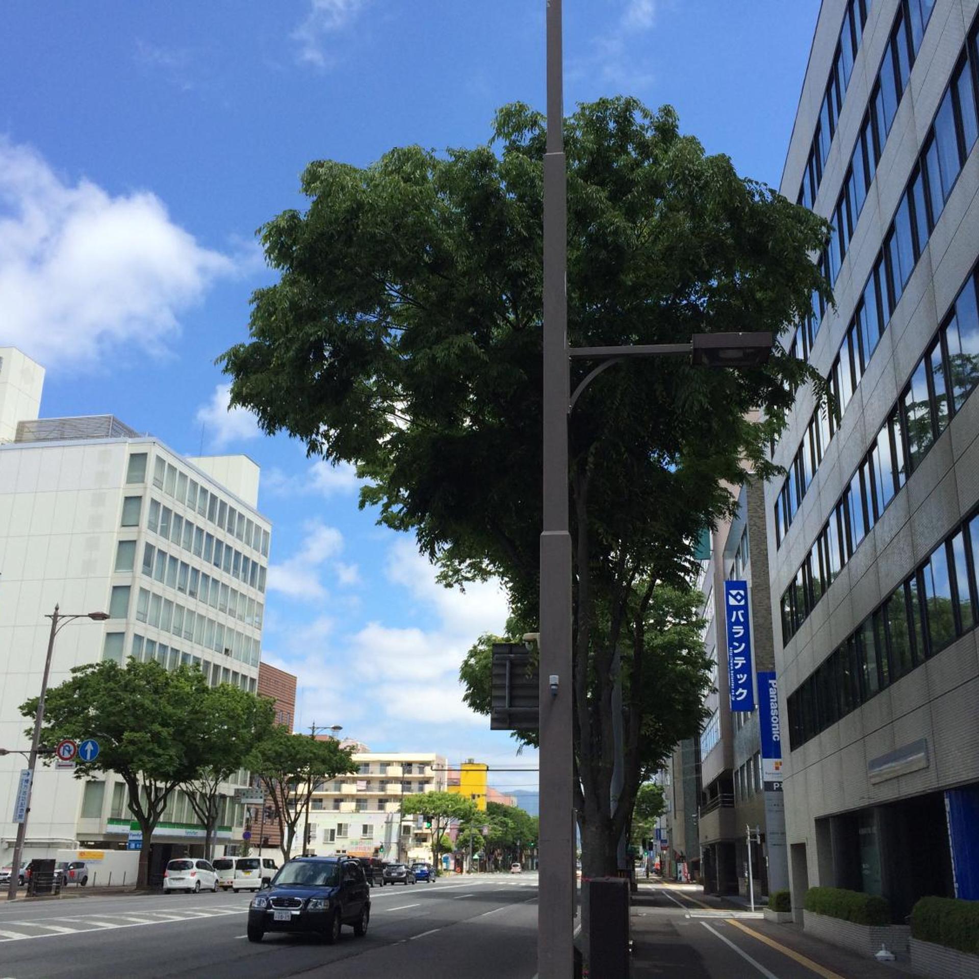 Hotel 2135 36/50