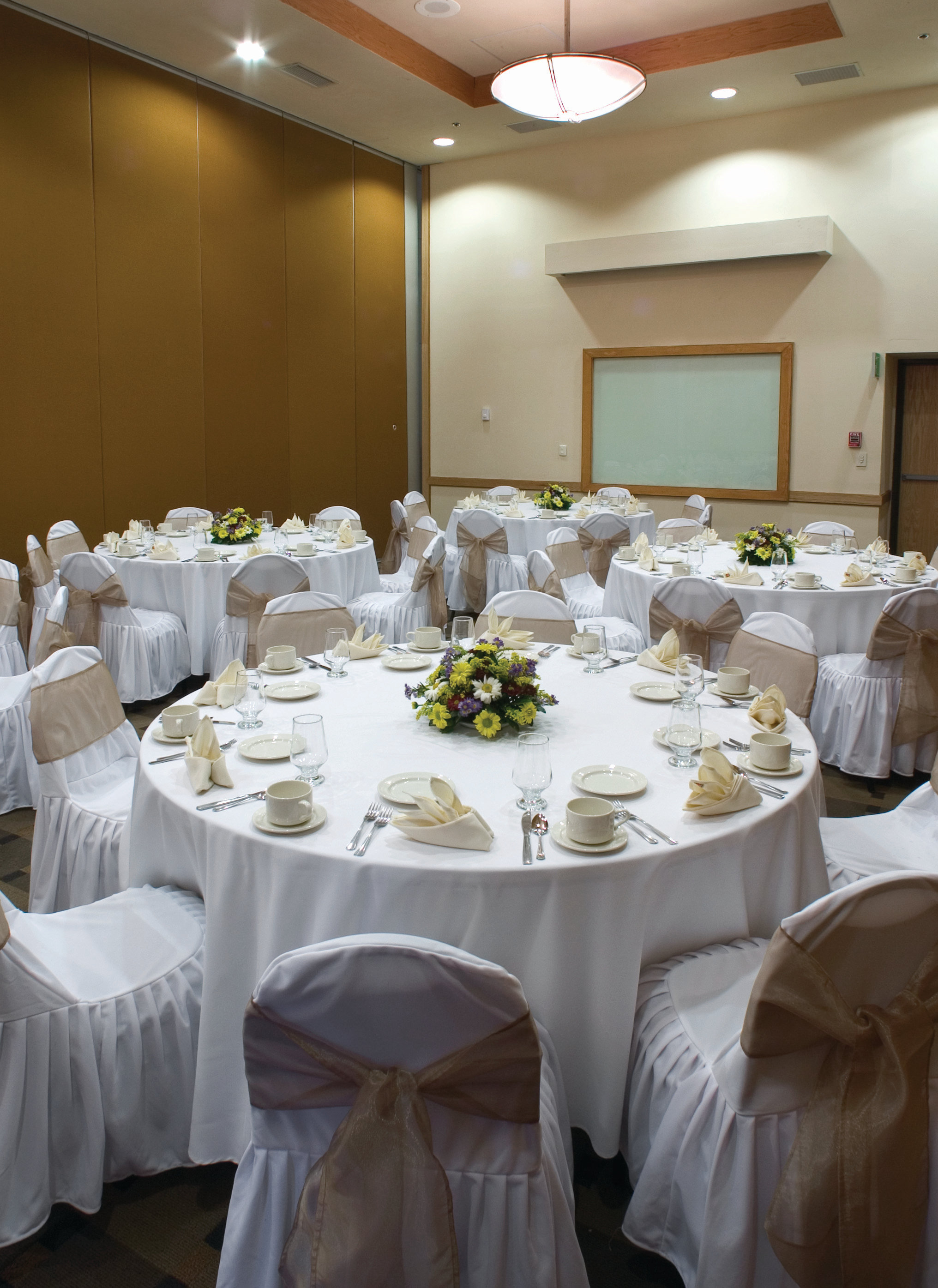 Fiesta Inn Culiacan 67/77