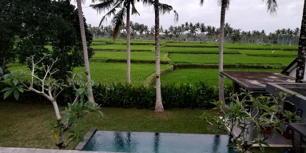 Anggira Villa Ubud 35/50