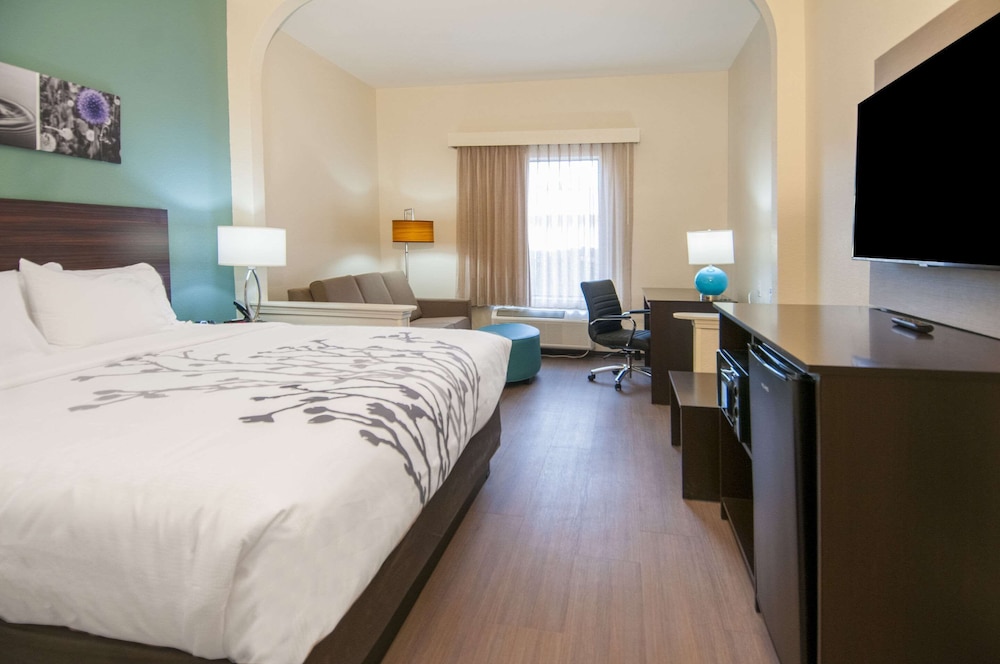 ROOM, KING BED, ACCESSIBLE