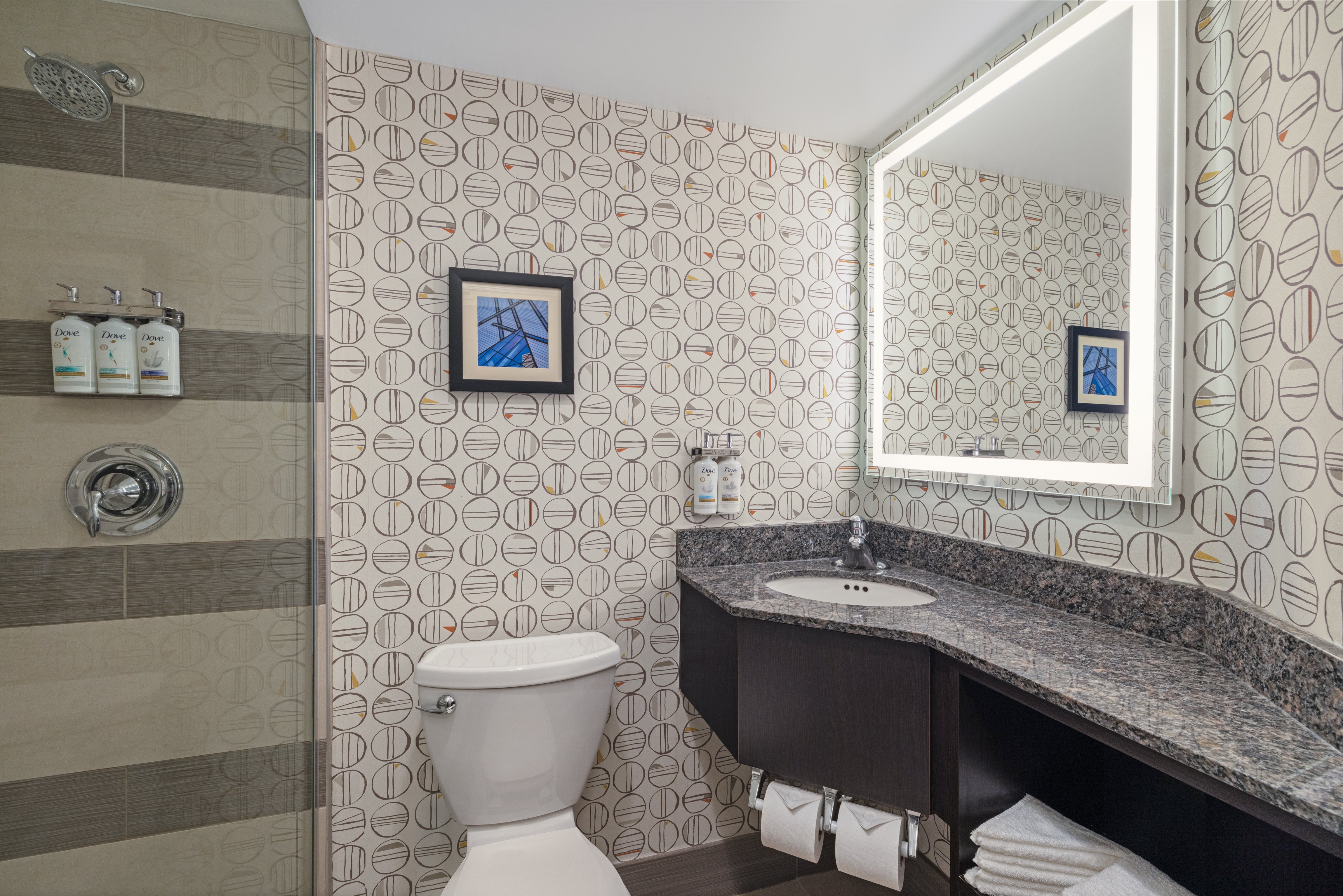 HOLIDAY INN TORONTO DOWNTOWN CENTRE 79/79