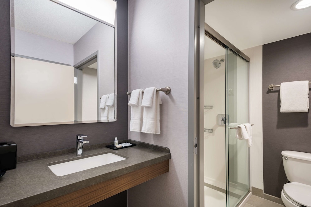 جناح سوبيريور بسريرين كوين بغرفة نوم واحدة، Sonesta Select San Jose Airport 3/3