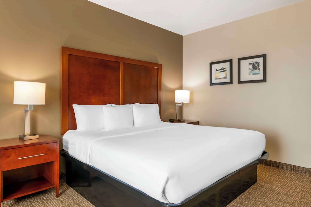 Comfort Inn and Suites Tavares North 17/38