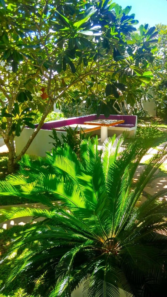 Villa Kalachuchi B&B 43/56