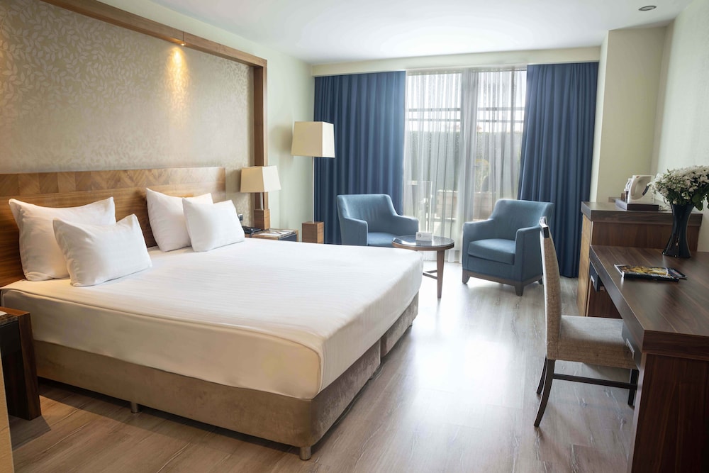 Dedeman Konya Hotel & Convention Center 32/72
