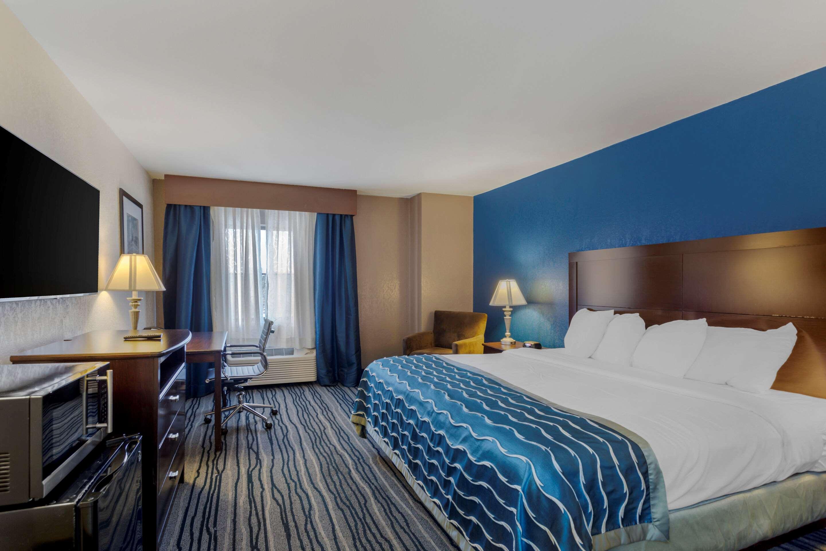 Room, King Bed
