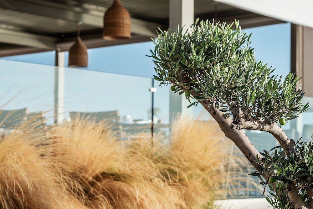 Aliv Stone Suites & Spa Zakynthos 56/62
