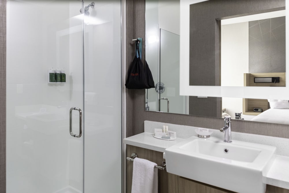 SpringHill Suites by Marriott Suwanee Johns Creek 38/46