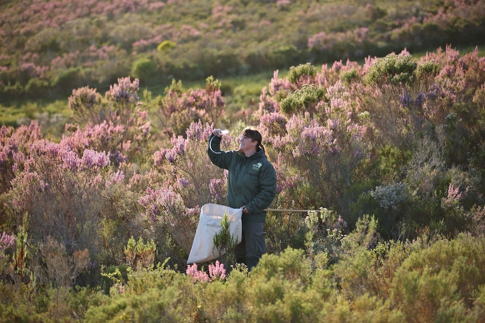 Grootbos Private Nature Reserve 46/57
