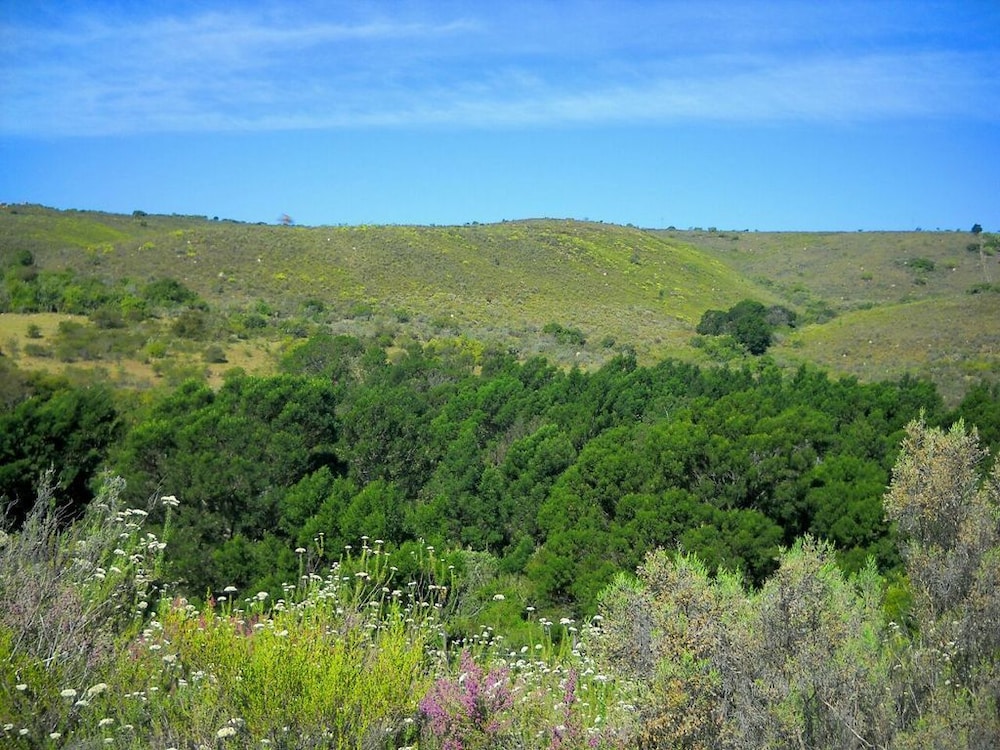 Pabala Private Nature Reserve 30/41