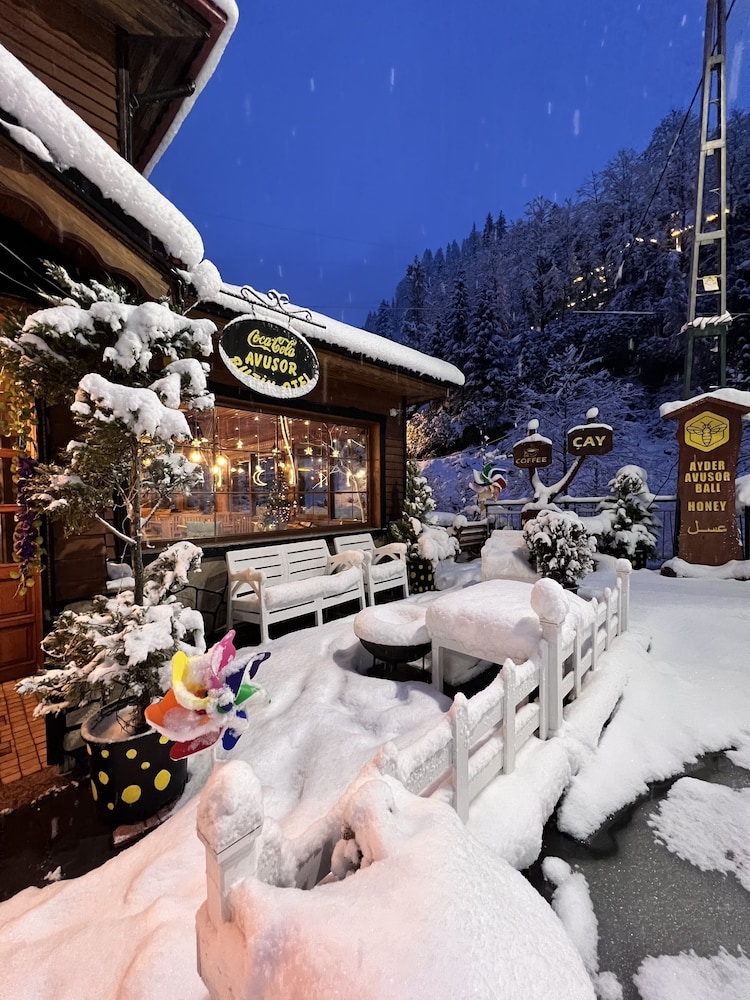 Ayder Avusor Butik Otel 11/19