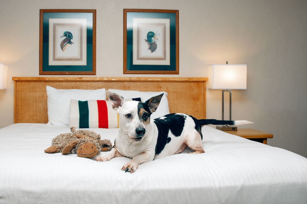 Timbers Motel Travelodge by Wyndham Bigfork 24/28