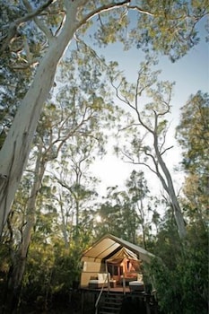 Paperbark Camp 44/48
