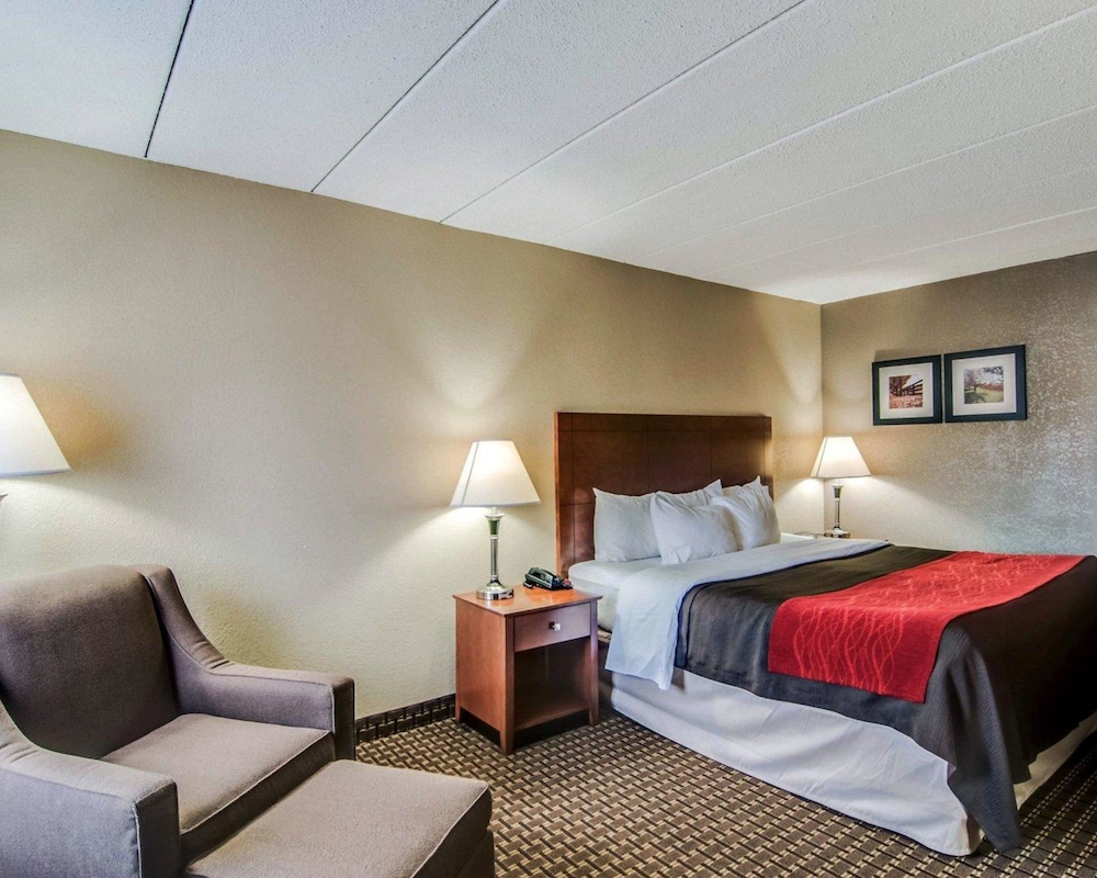 Comfort Inn & Suites Raphine VA 14/34