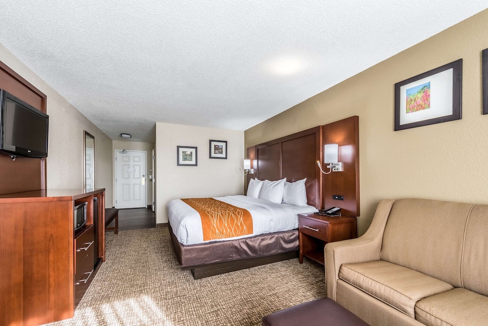 ROOM, KING BED, ACCESSIBLE