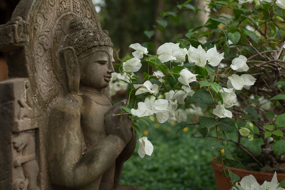 SOMATHEERAM AYURVEDA RESORT 32/38