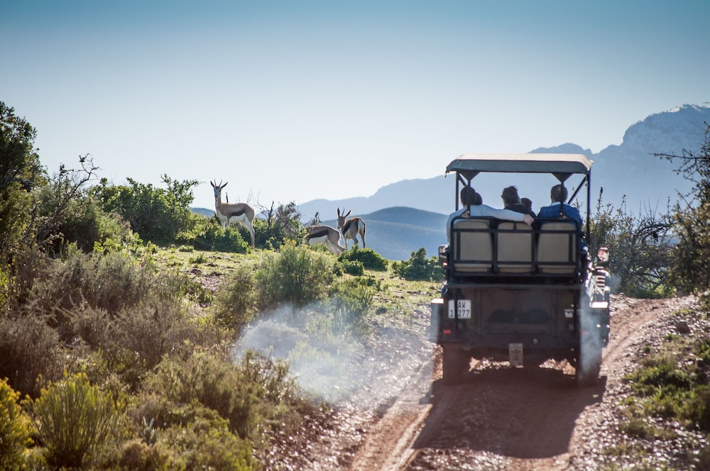 Buffelsdrift Game Lodge 8/73