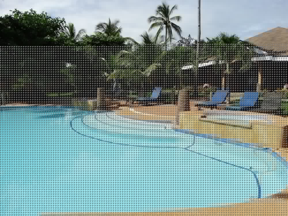 Anda White Beach Resort 11/64