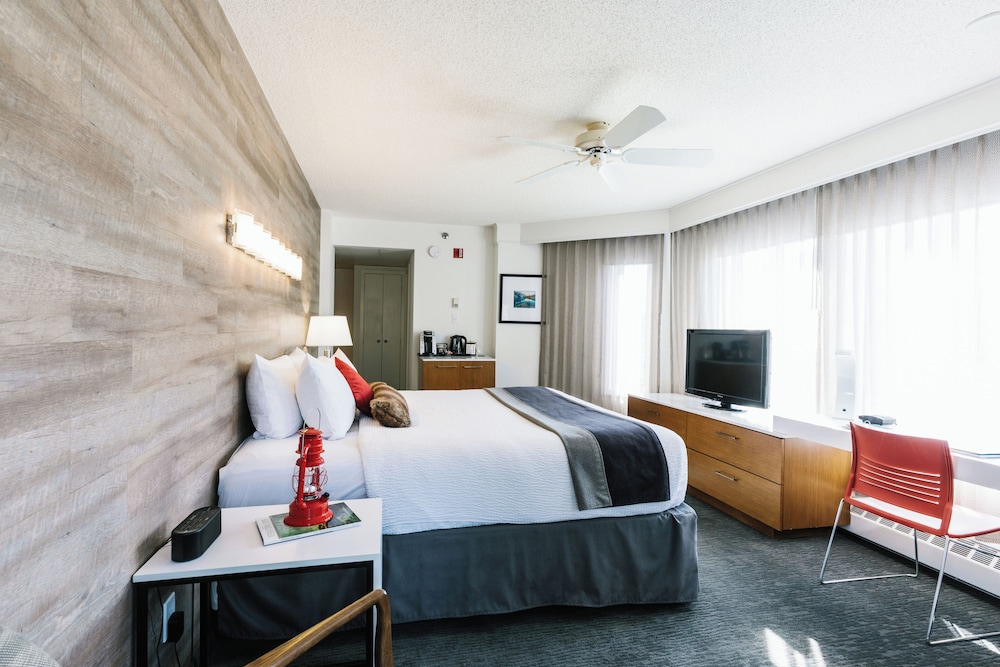 STANDARD, KING BED, PET FRIENDLY
