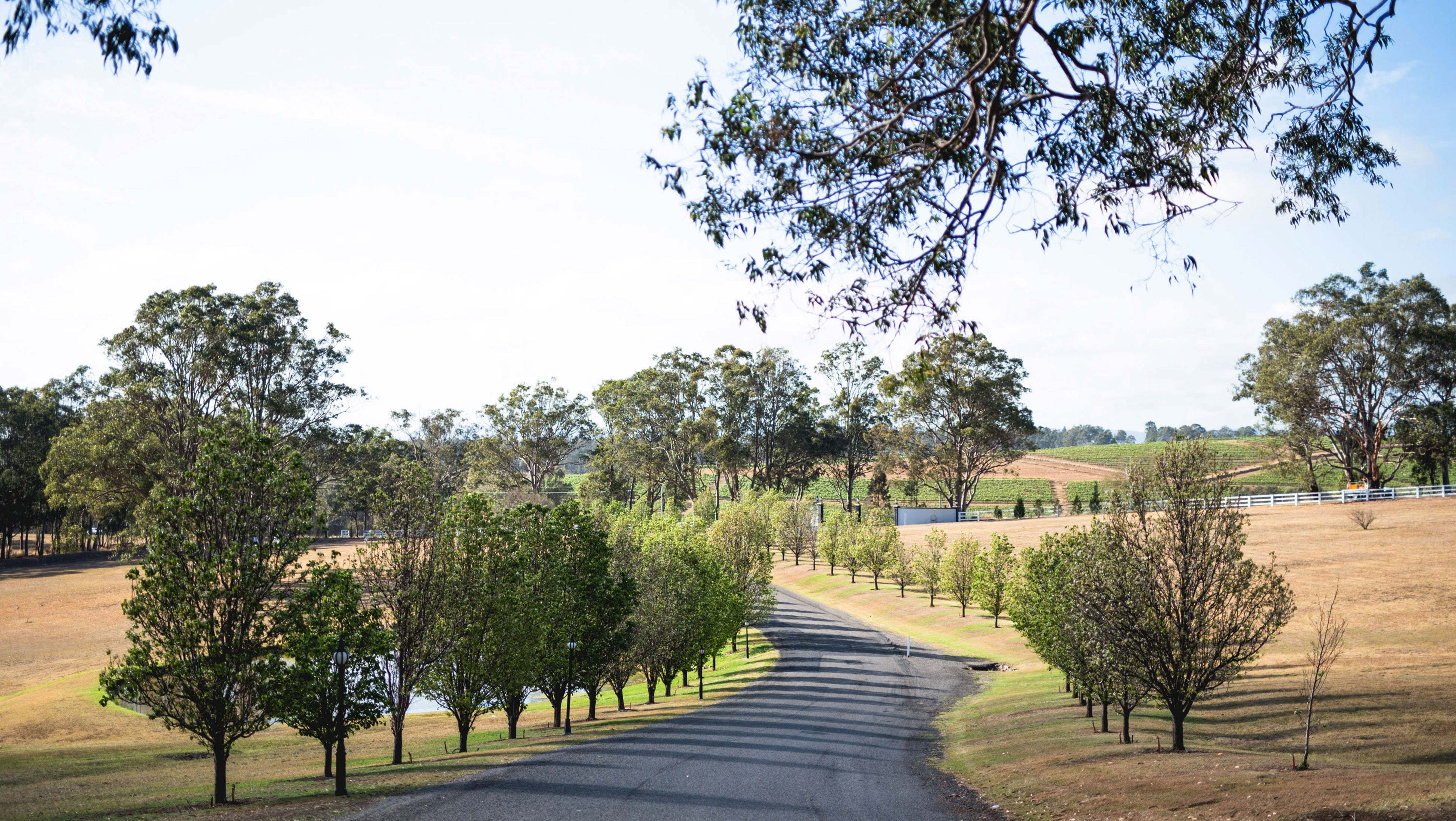 Voco Kirkton Park Hunter Valley 79/83