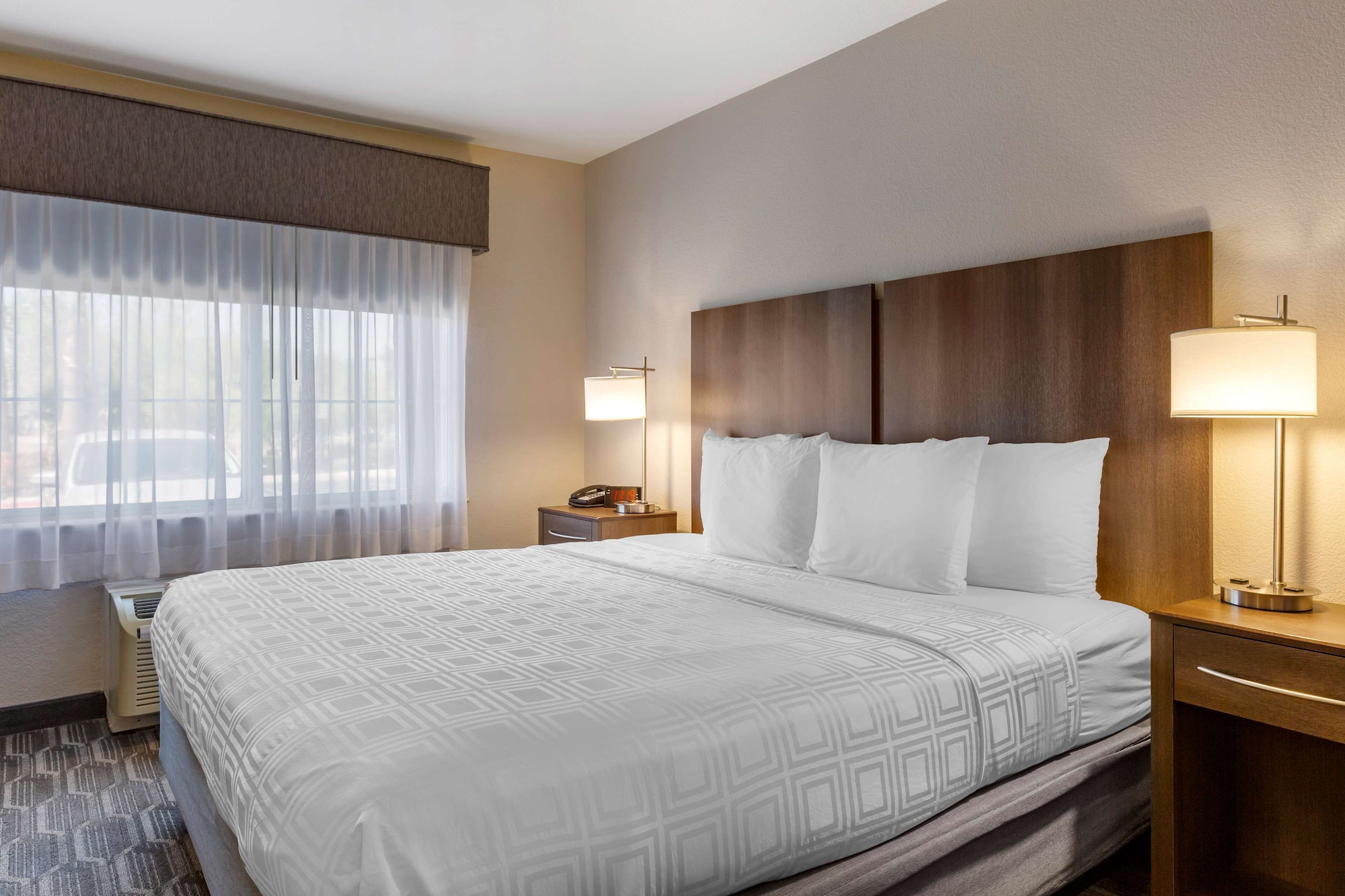 STANDARD, KING BED, PET FRIENDLY, KITCHENETTE