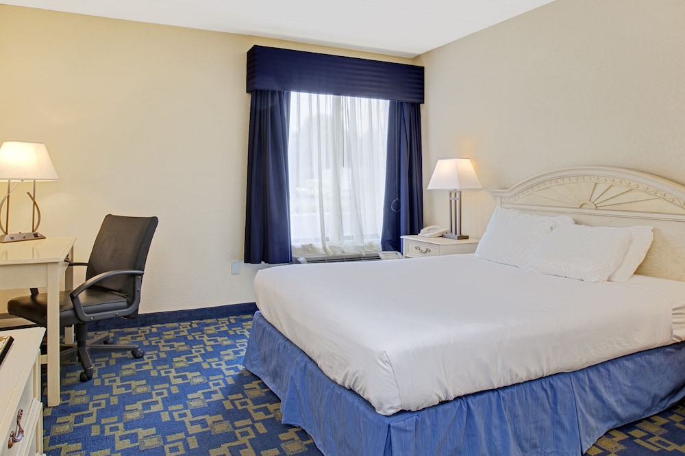 Suite, King Bed