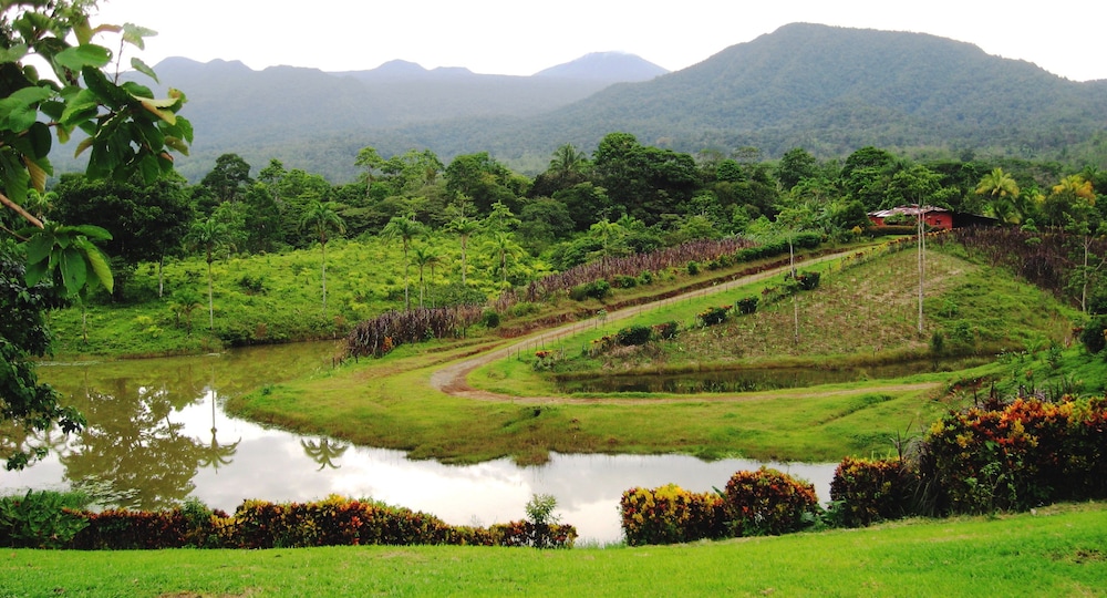 La Anita Rainforest Ranch 27/35
