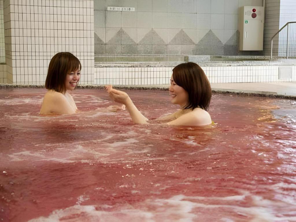 Spa Land Hotel Naito 25/45