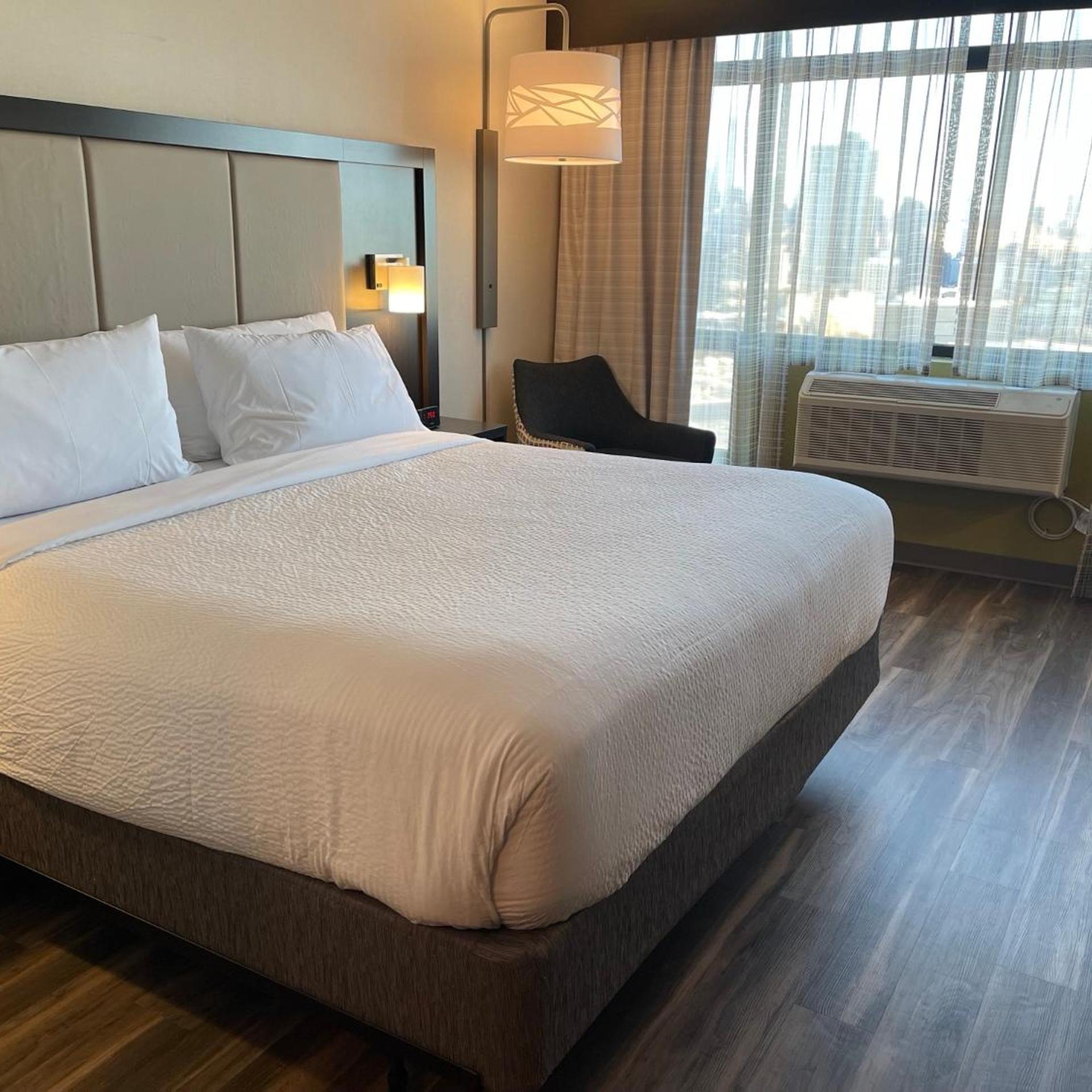 Standard, King Bed, Skyline View، Holiday Inn Express Long Island City E New York, an IHG Hotel 2/7